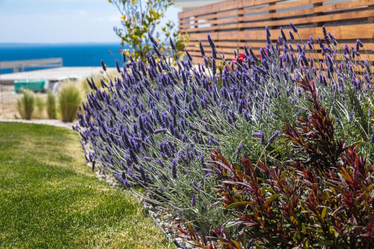 ArtHill eco villas Nikiti  Esterno foto